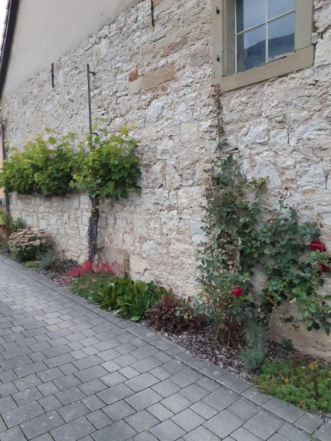 Fewo Koerner Seinsheim Im Weinparadies Экстерьер фото
